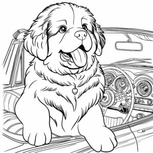 Corvette Cruisin' Newfy